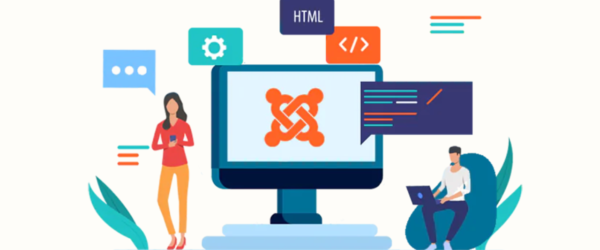 Joomla Developer