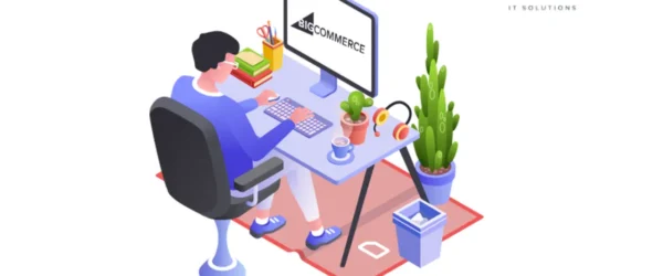 hire bigcommerce developer